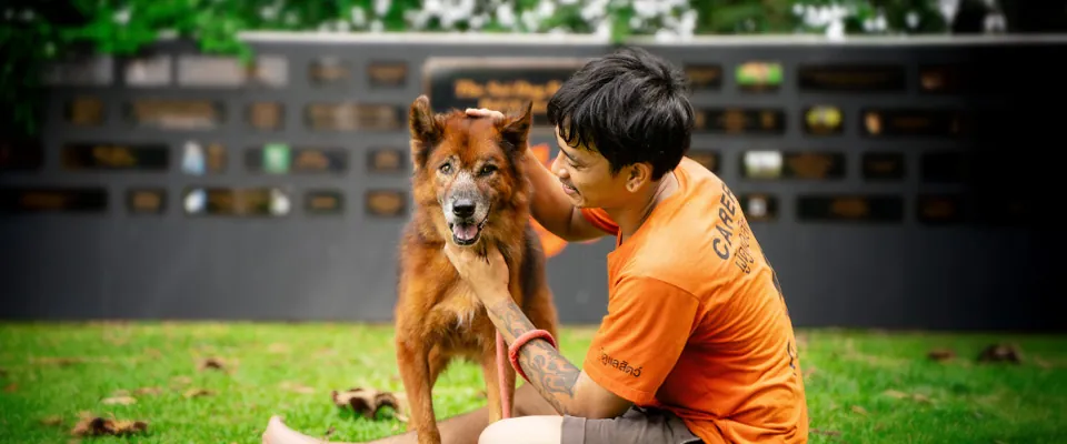 A Soi Dog team member with a rescued dog