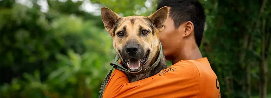 A Soi Dog rescuer hugging a dog